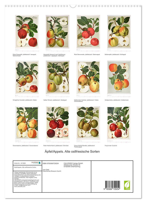 Äpfel/Appels. Alte ostfriesische Sorten (CALVENDO Premium Wandkalender 2027)