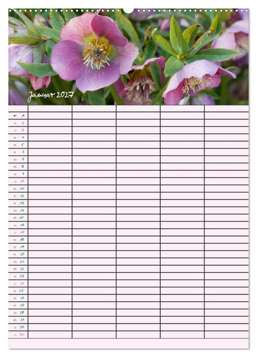 Kleine Naturschönheiten (CALVENDO Wandkalender 2027)