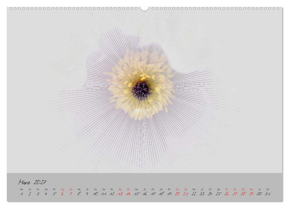 Blüten FineArt (CALVENDO Wandkalender 2027)