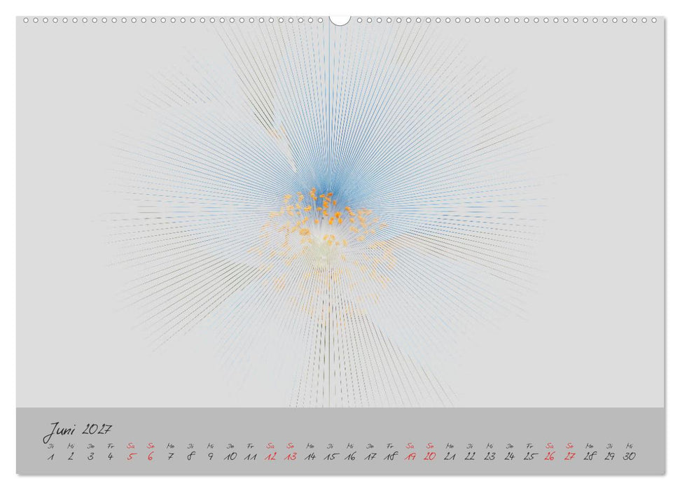 Blüten FineArt (CALVENDO Wandkalender 2027)
