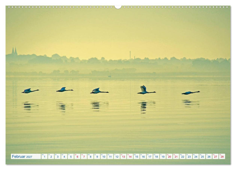 Flensburg Fjord (CALVENDO Wandkalender 2027)