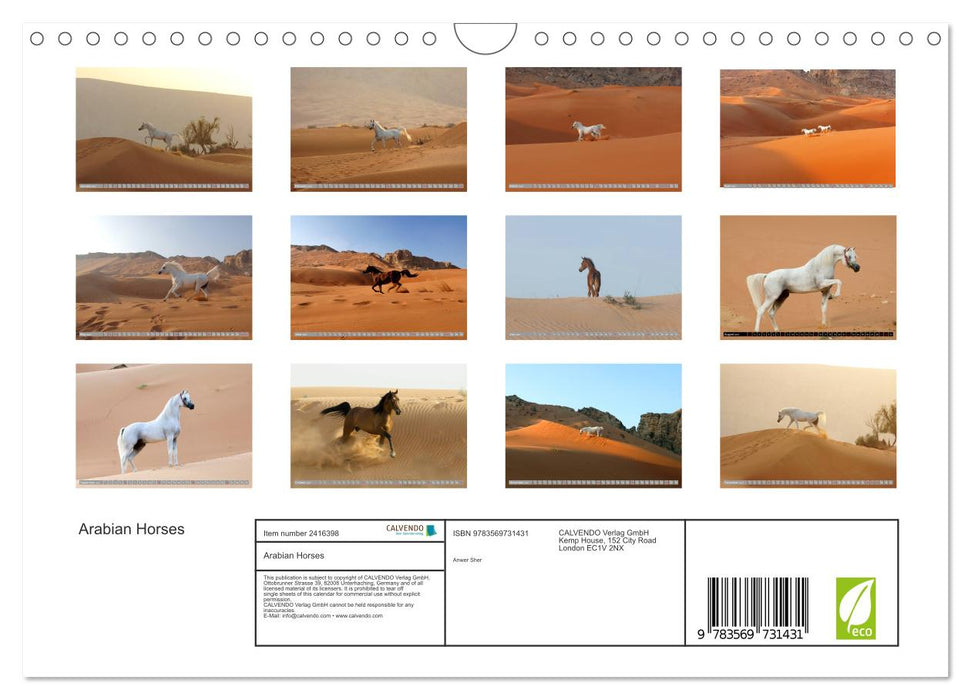 Arabian Horses (CALVENDO Monthly Calendar 2027)