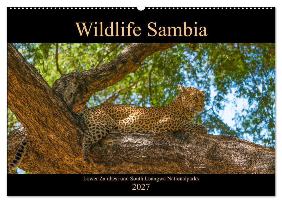 Wildlife Sambia (CALVENDO Wandkalender 2027)