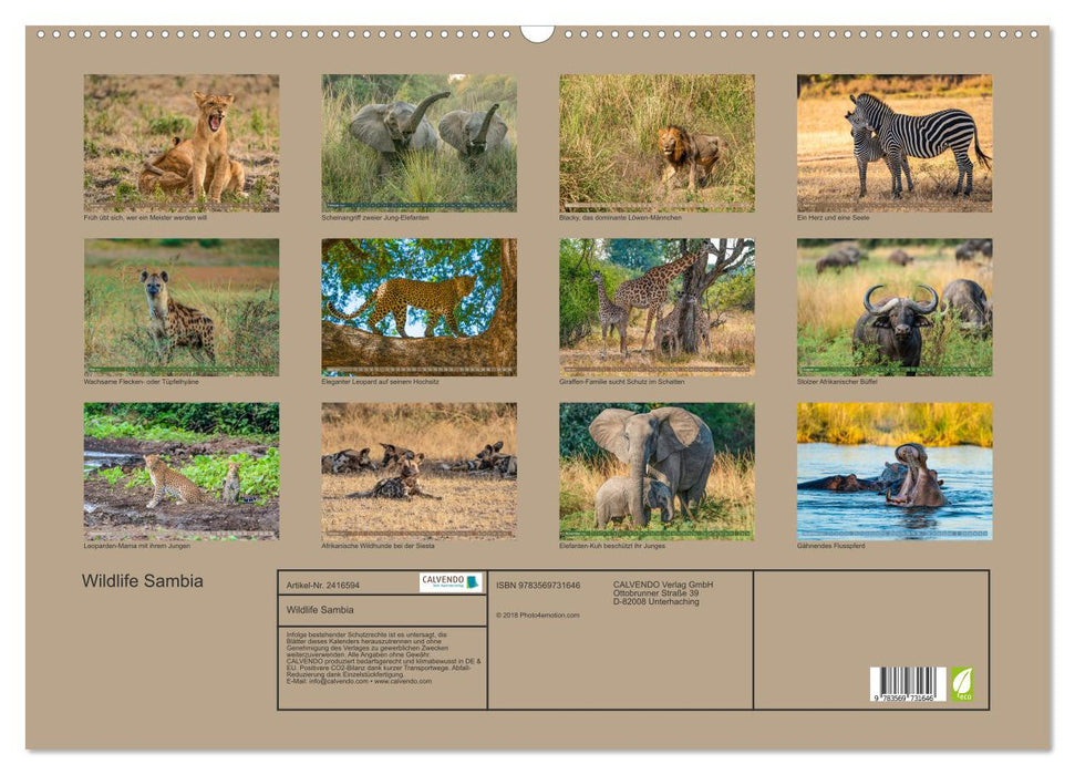 Wildlife Sambia (CALVENDO Wandkalender 2027)