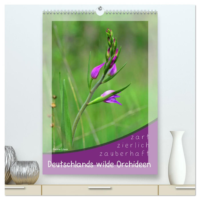 Deutschlands wilde Orchideen (CALVENDO Premium Wandkalender 2027)
