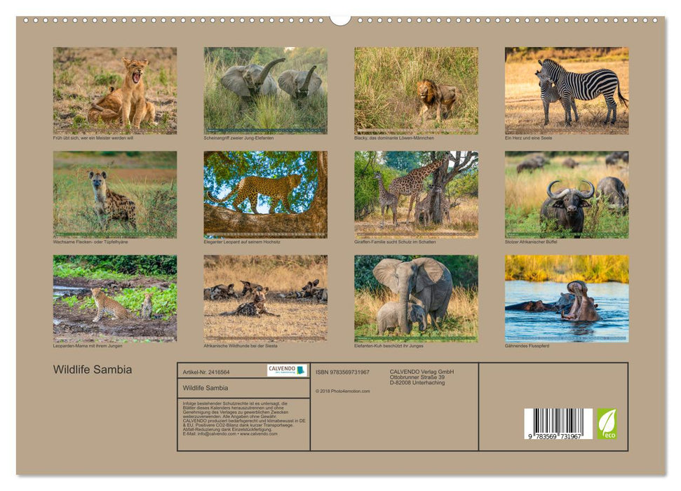 Wildlife Sambia (CALVENDO Premium Wandkalender 2027)