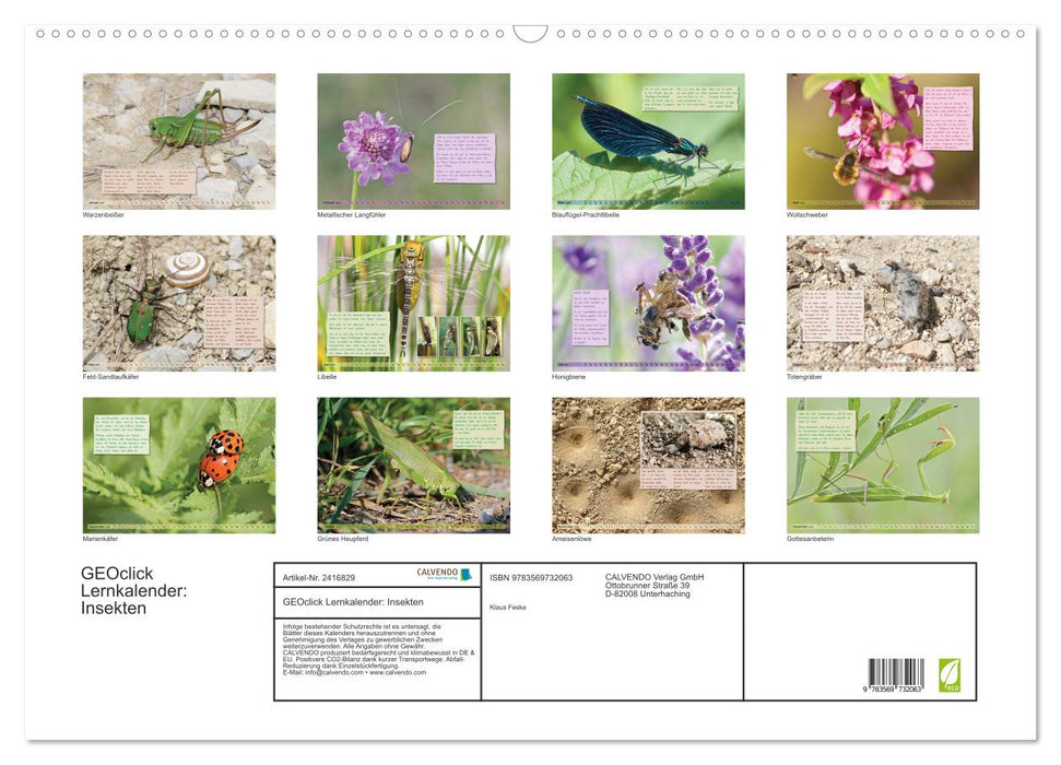GEOclick Lernkalender: Insekten (CALVENDO Wandkalender 2027)
