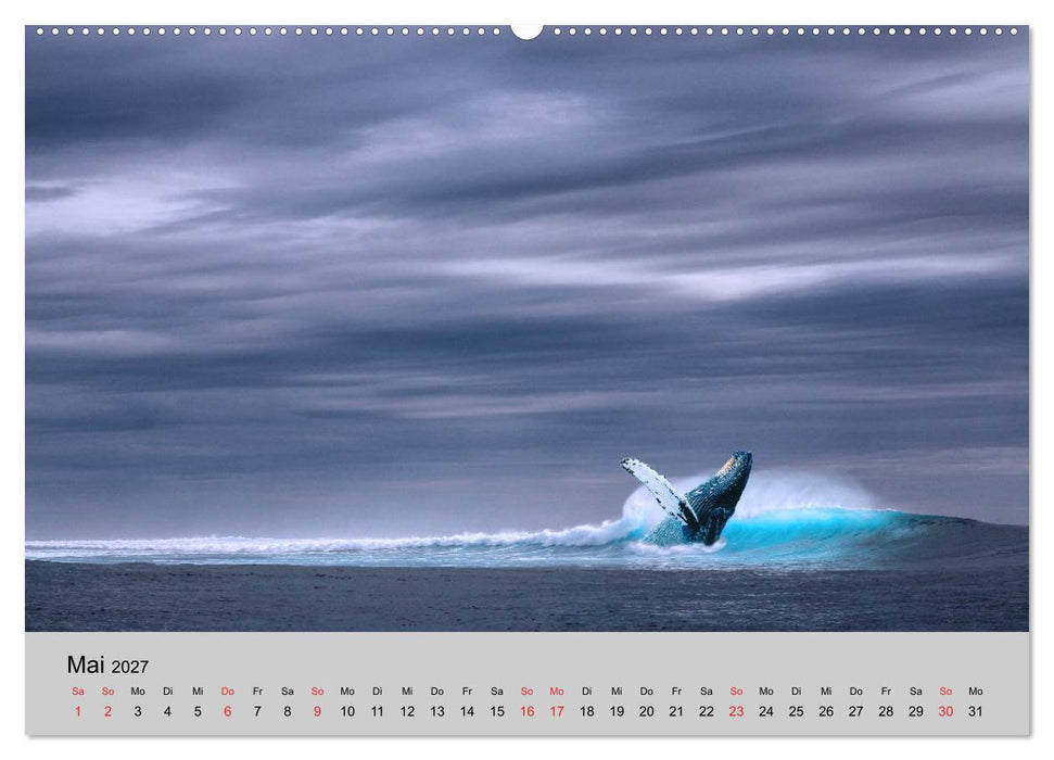Am Meer. Sehnsucht Wasser (CALVENDO Premium Wandkalender 2027)