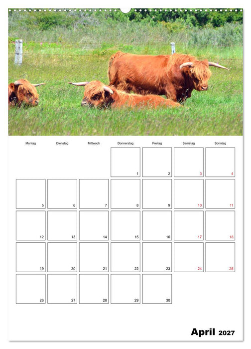 Langeoog - eine Trauminsel (CALVENDO Wandkalender 2027)