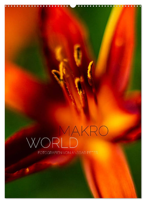 Makro World (CALVENDO Wandkalender 2027)