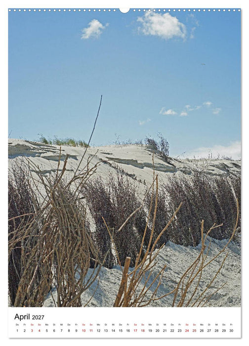 Norderney - Inselliebe (CALVENDO Premium Wandkalender 2027)