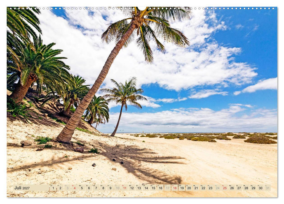 FUERTEVENTURA - Inselblick (CALVENDO Premium Wandkalender 2027)