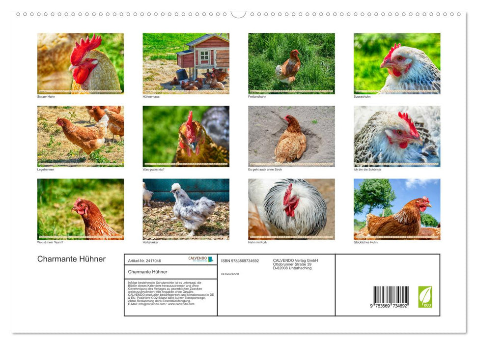 Charmante Hühner (CALVENDO Premium Wandkalender 2027)