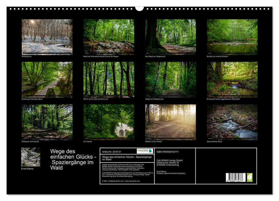 Wege des einfachen Glücks - Spaziergänge im Wald (CALVENDO Wandkalender 2027)