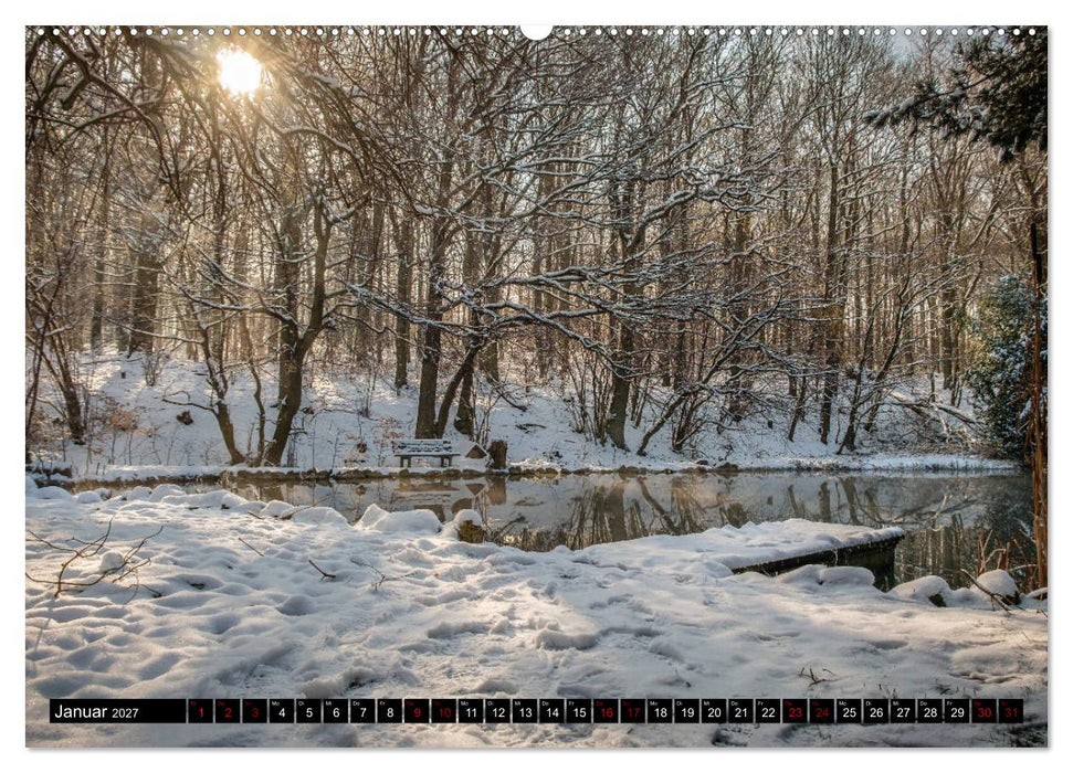 Wege des einfachen Glücks - Spaziergänge im Wald (CALVENDO Wandkalender 2027)