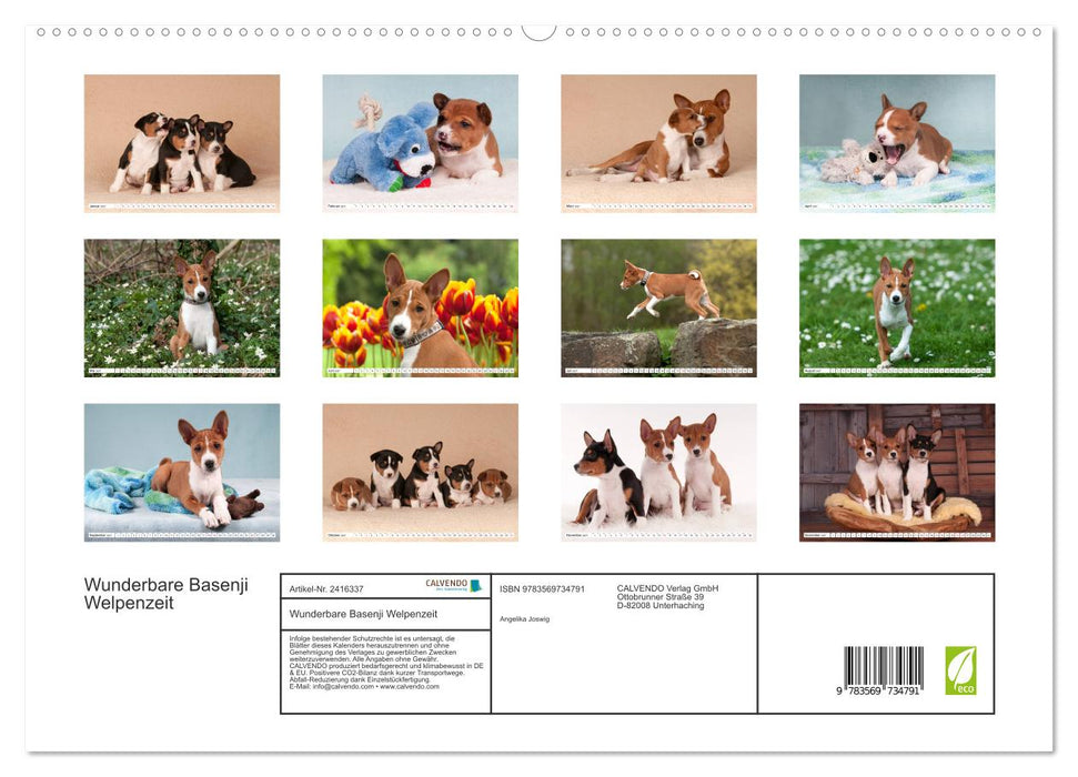 Wunderbare Basenji Welpenzeit (CALVENDO Premium Wandkalender 2027)