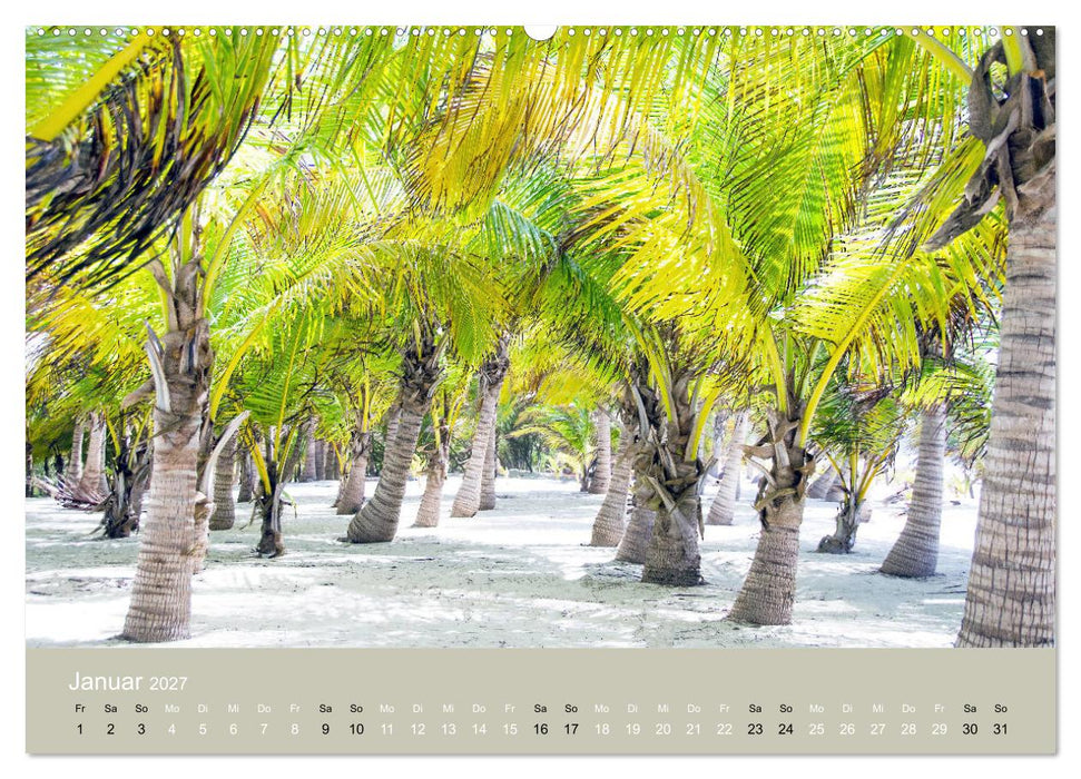Mexiko - ein traumhaftes Paradies (CALVENDO Premium Wandkalender 2027)