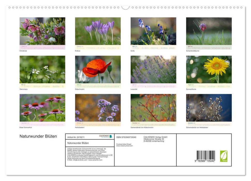 Naturwunder Blüten (CALVENDO Wandkalender 2027)