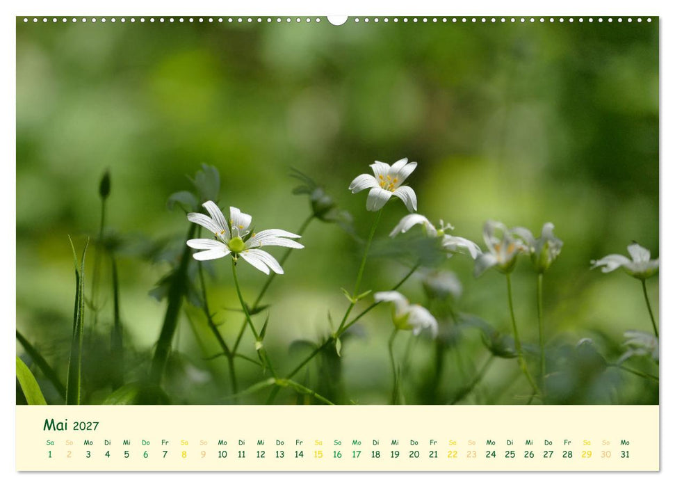 Naturwunder Blüten (CALVENDO Wandkalender 2027)