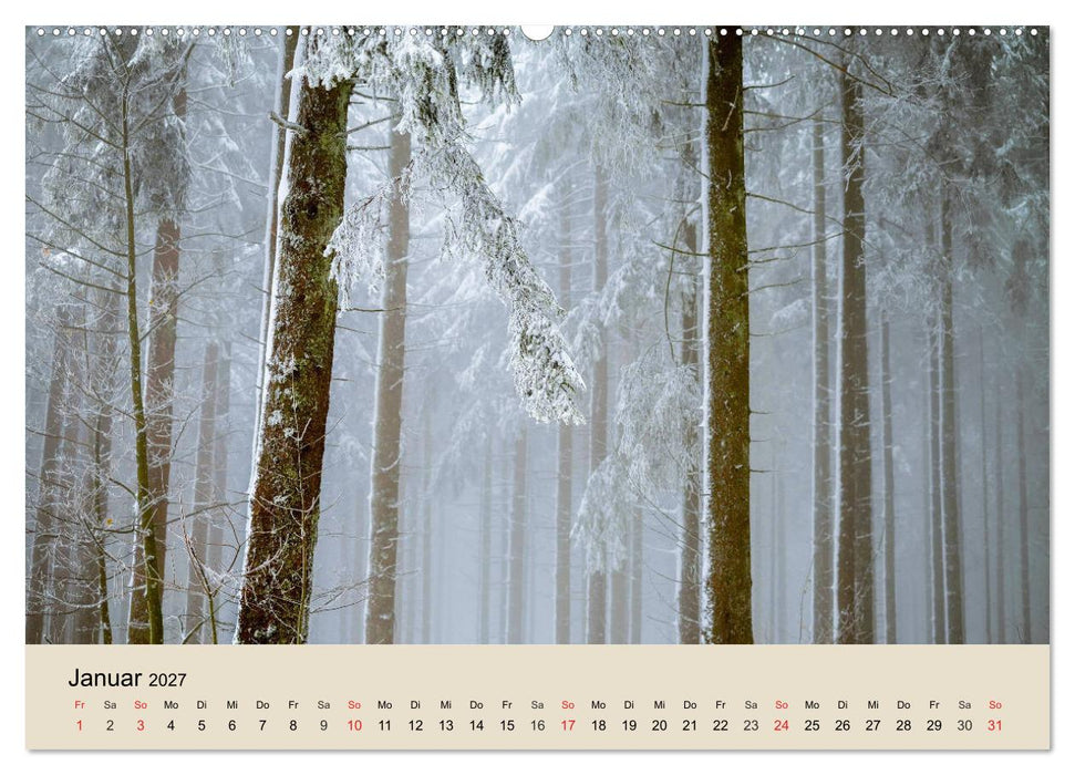 Der Wald. Durch zauberhafte Waldlandschaften (CALVENDO Premium Wandkalender 2027)