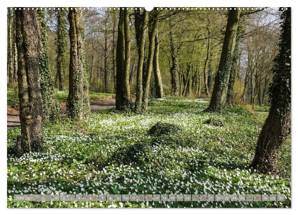 Münsterland - Vielfältige Schönheit (CALVENDO Wandkalender 2027)