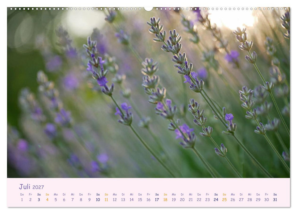 Naturwunder Blüten (CALVENDO Premium Wandkalender 2027)