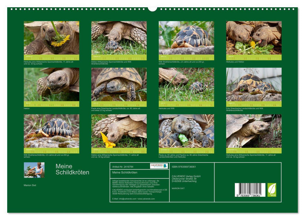Meine Schildkröten (CALVENDO Premium Wandkalender 2027)