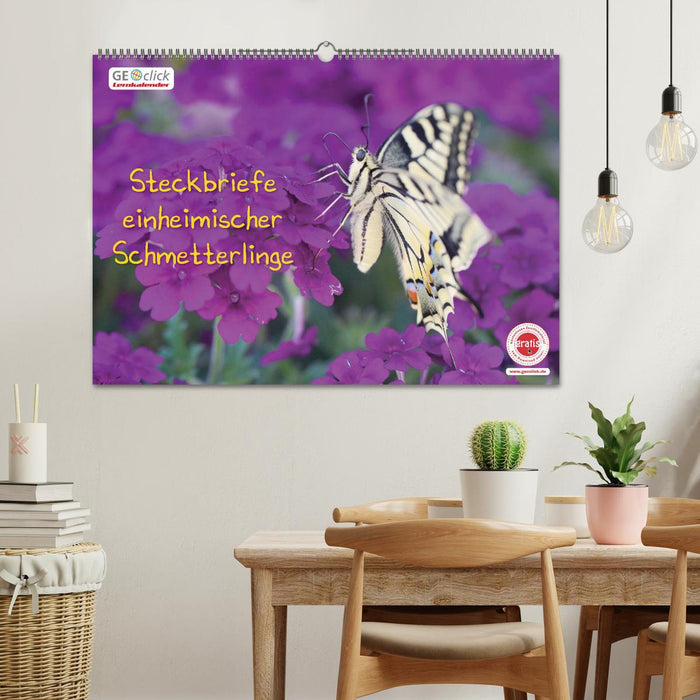 GEOclick Lernkalender: Steckbriefe einheimischer Schmetterlinge (CALVENDO Wandkalender 2027)