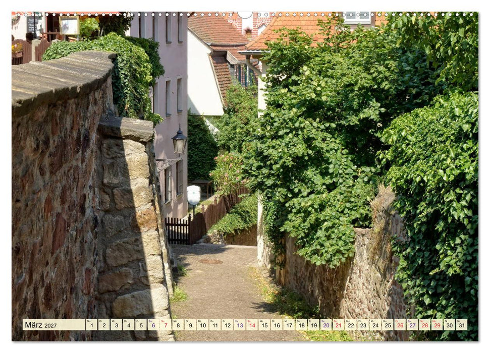 Bezauberndes Meißen (CALVENDO Wandkalender 2027)