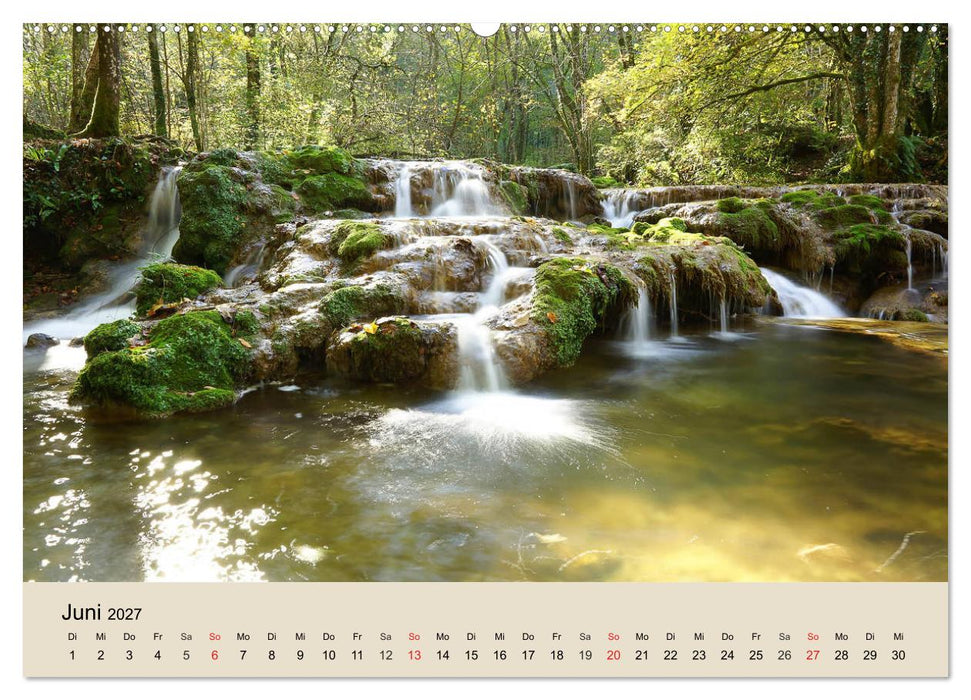 Der Wald. Durch zauberhafte Waldlandschaften (CALVENDO Wandkalender 2027)