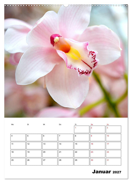 Orchideen - Tropische Schönheiten (CALVENDO Premium Wandkalender 2027)