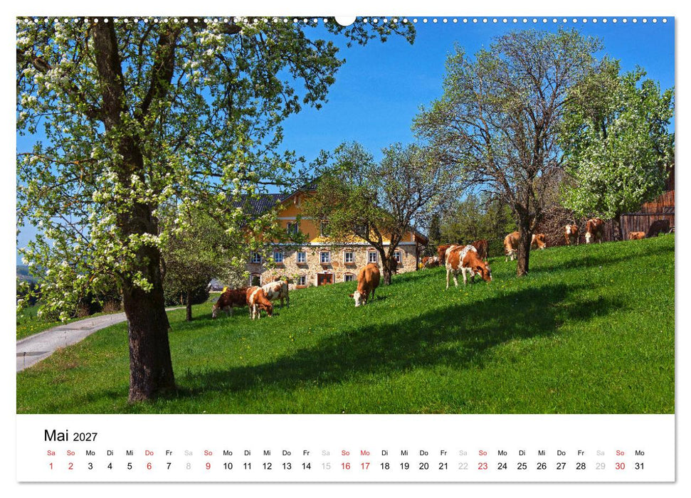 Zauberhaftes Mondseeland (CALVENDO Wandkalender 2027)