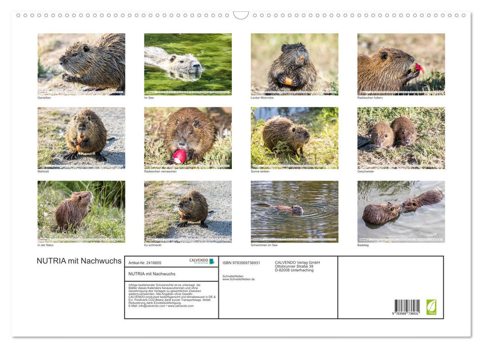 NUTRIA mit Nachwuchs (CALVENDO Wandkalender 2027)