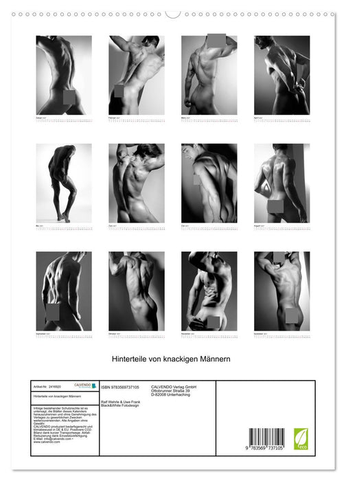 Hinterteile von knackigen Männern (CALVENDO Premium Wandkalender 2027)