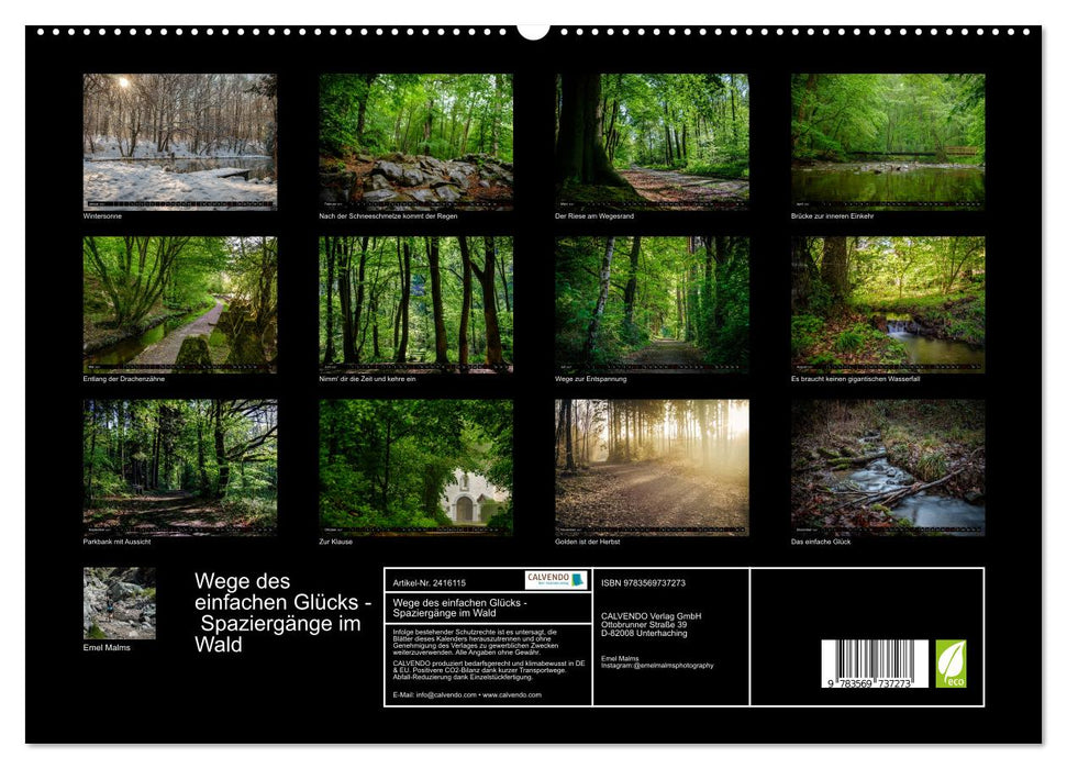 Wege des einfachen Glücks - Spaziergänge im Wald (CALVENDO Premium Wandkalender 2027)