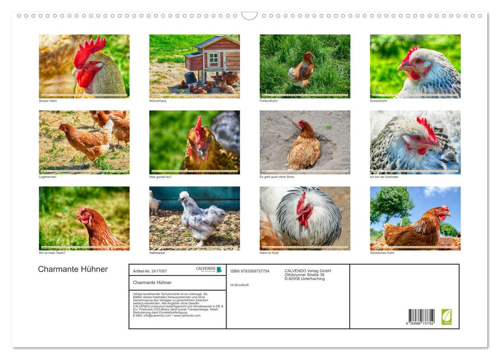 Charmante Hühner (CALVENDO Wandkalender 2027)