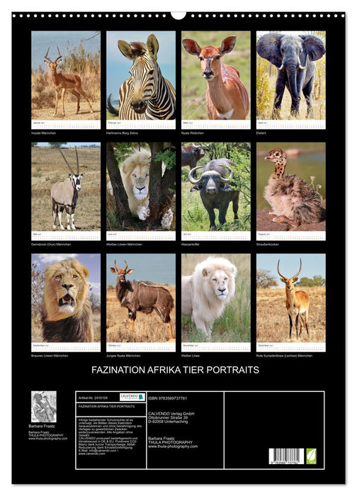 FAZINATION AFRIKA TIER PORTRAITS (CALVENDO Wandkalender 2027)