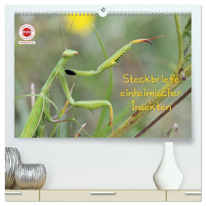 GEOclick Lernkalender: Insekten (CALVENDO Premium Wandkalender 2027)