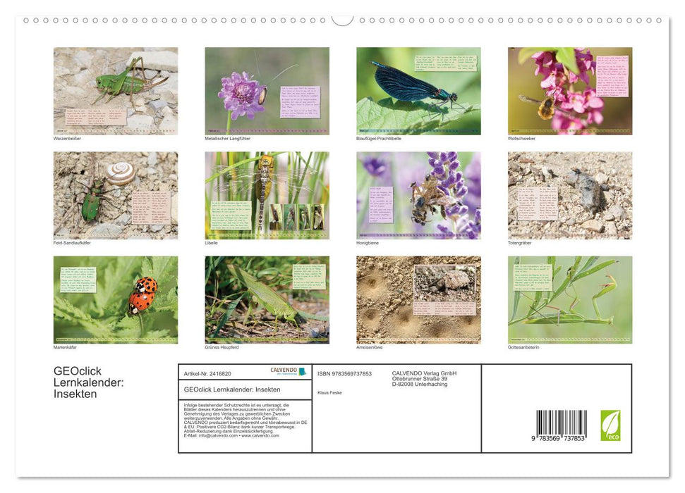 GEOclick Lernkalender: Insekten (CALVENDO Premium Wandkalender 2027)