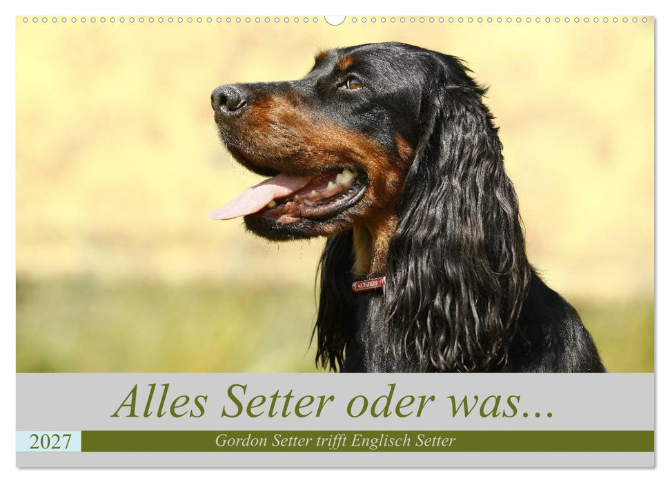 Alles Setter oder was (CALVENDO Wandkalender 2027)