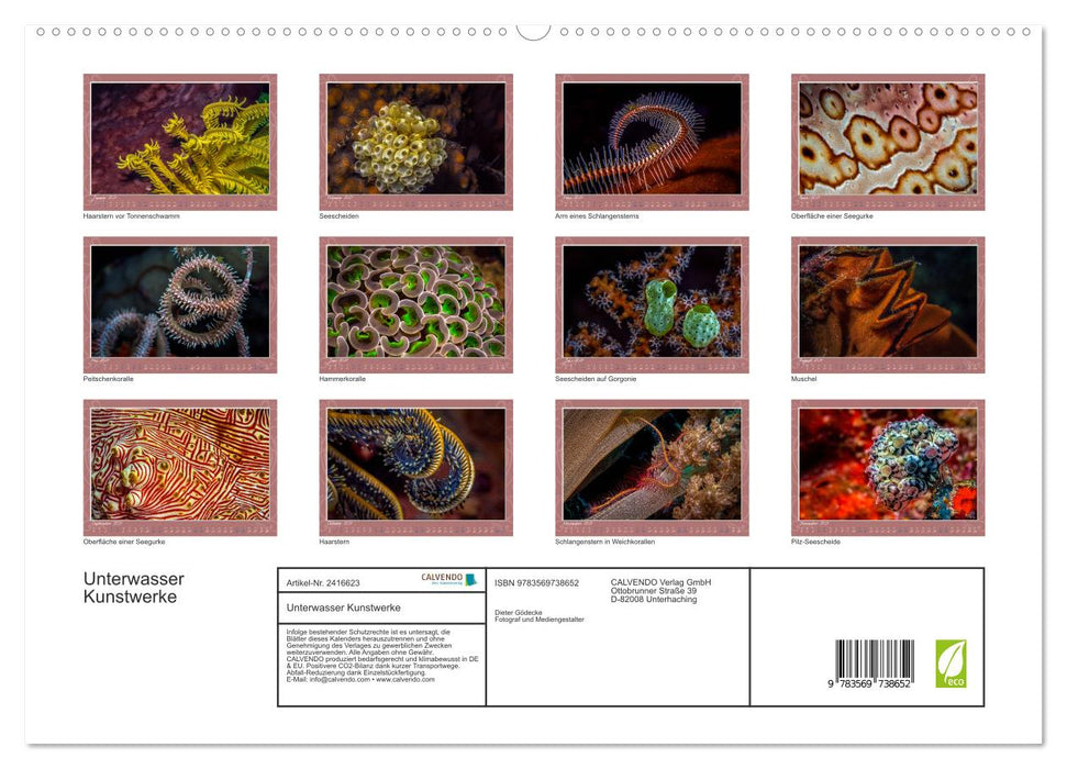 Unterwasser Kunstwerke (CALVENDO Premium Wandkalender 2027)
