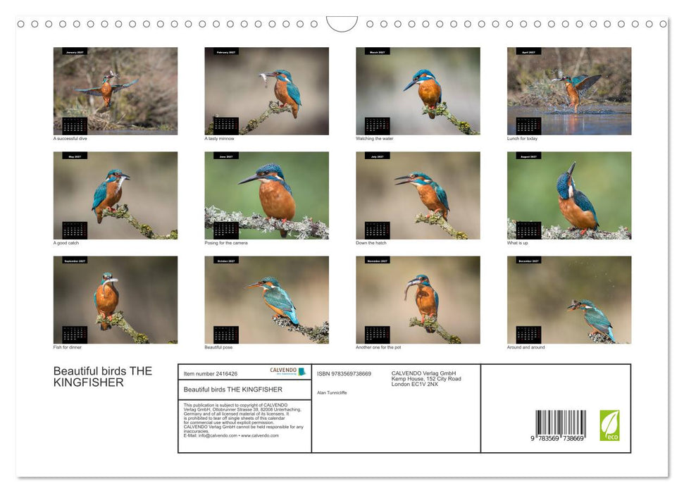 Beautiful birds THE KINGFISHER (CALVENDO Monthly Calendar 2027)