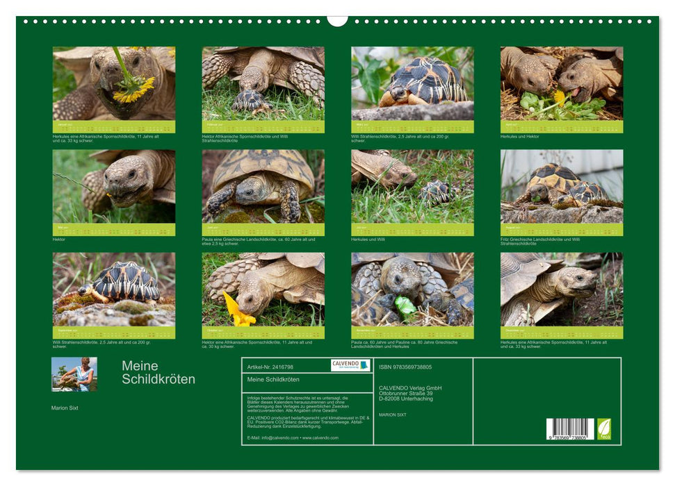 Meine Schildkröten (CALVENDO Wandkalender 2027)