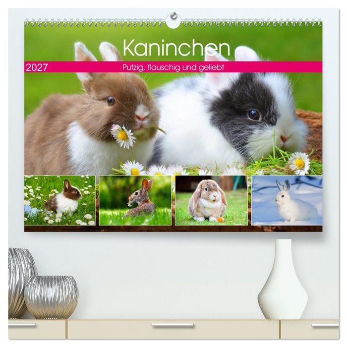 Kaninchen. Putzig, flauschig und geliebt (CALVENDO Premium Wandkalender 2027)