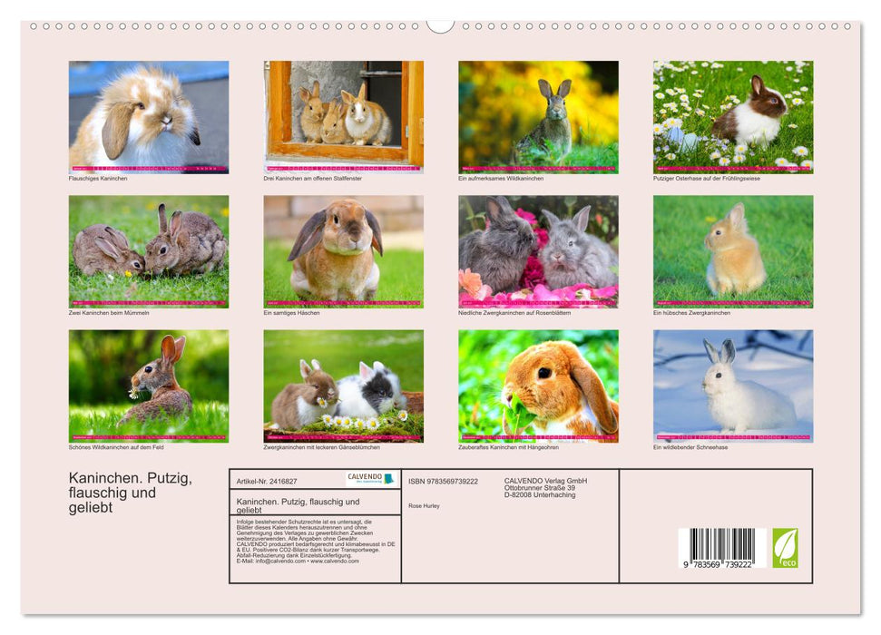 Kaninchen. Putzig, flauschig und geliebt (CALVENDO Premium Wandkalender 2027)