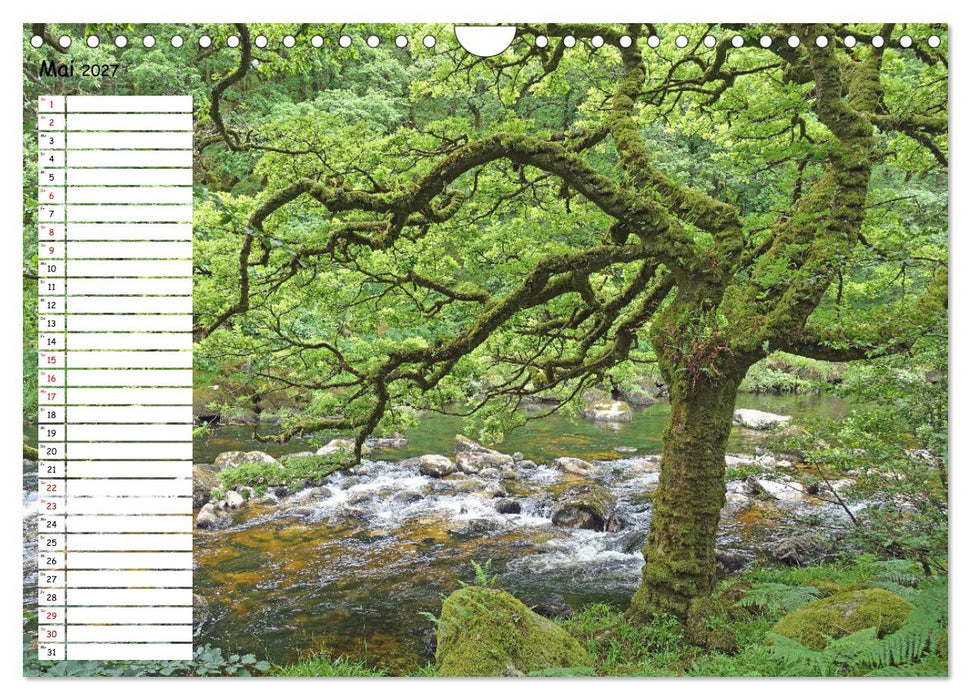 Einsame Natur - Terminkalender (CALVENDO Wandkalender 2027)