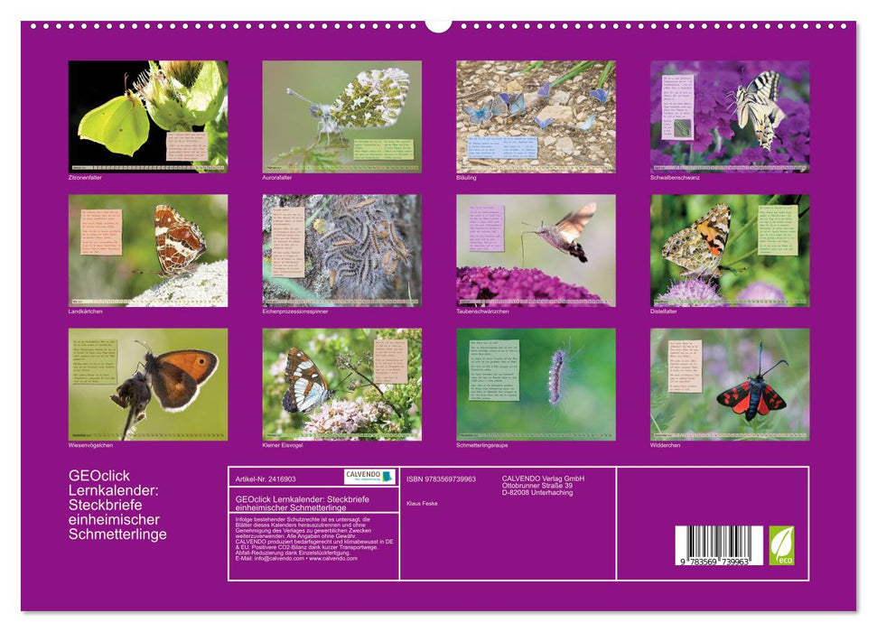 GEOclick Lernkalender: Steckbriefe einheimischer Schmetterlinge (CALVENDO Premium Wandkalender 2027)