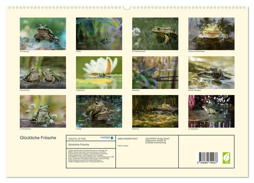 Glückliche Frösche (CALVENDO Premium Wandkalender 2027)