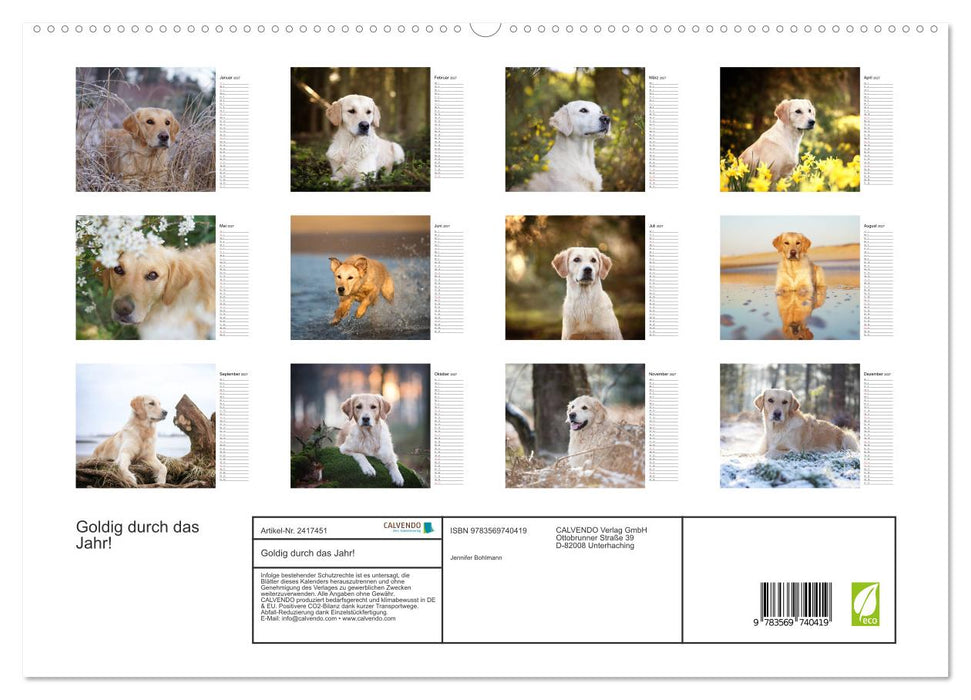 Goldig durch das Jahr! (CALVENDO Premium Wandkalender 2027)