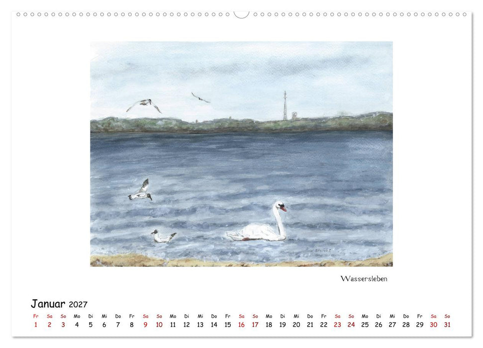 Die Flensburger Förde (CALVENDO Premium Wandkalender 2027)